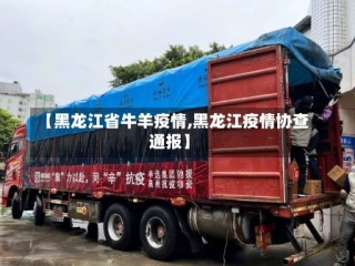 【黑龙江省牛羊疫情,黑龙江疫情协查通报】