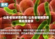 山东省链球菌疫情/山东省链球菌疫情防控要求