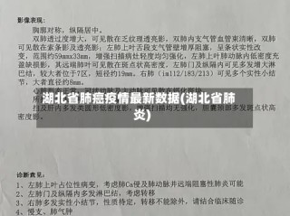 湖北省肺癌疫情最新数据(湖北省肺炎)