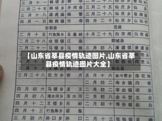 【山东省莘县疫情轨迹图片,山东省莘县疫情轨迹图片大全】