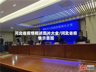 河北省疫情概述图片大全/河北省疫情示意图