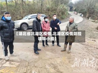 【湖北省北湖区疫情,北湖区疫情防控领导小组】