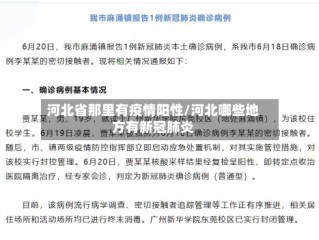 河北省那里有疫情阳性/河北哪些地方有新冠肺炎