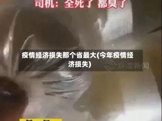 疫情经济损失那个省最大(今年疫情经济损失)