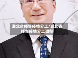 湖北省领导疫情分工/湖北省领导疫情分工调整