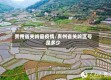 贵州省关岭县疫情/贵州省关岭区号是多少