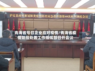 青海省号召企业应对疫情/青海省疫情防控处置工作指挥部召开会议