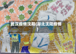 武汉疫情沈阳(湖北沈阳疫情)