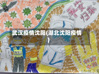武汉疫情沈阳(湖北沈阳疫情)