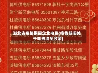 湖北省疫情期间企业电费(疫情期间关于电费减免政策)
