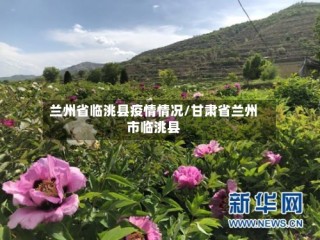兰州省临洮县疫情情况/甘肃省兰州市临洮县