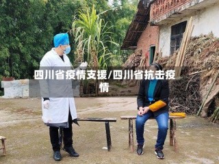 四川省疫情支援/四川省抗击疫情