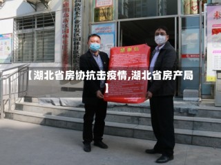 【湖北省房协抗击疫情,湖北省房产局】