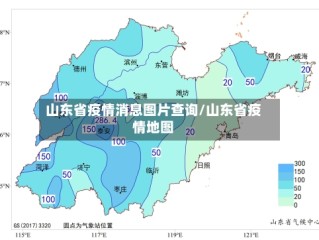 山东省疫情消息图片查询/山东省疫情地图