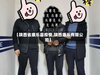 【陕西省康乐县疫情,陕西康乐有限公司】