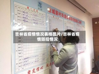 吉林省疫情情况表格图片/吉林省疫情防控情况