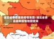 湖北省各县最新疫情地图/湖北省各县最新疫情地图查询