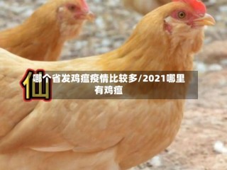 哪个省发鸡瘟疫情比较多/2021哪里有鸡瘟