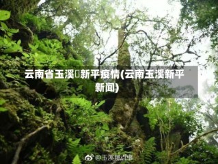云南省玉溪巿新平疫情(云南玉溪新平新闻)