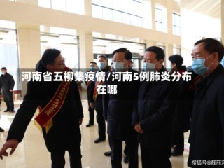 河南省五柳集疫情/河南5例肺炎分布在哪
