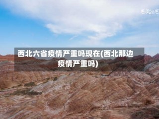西北六省疫情严重吗现在(西北那边疫情严重吗)