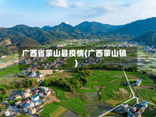 广西省蒙山县疫情(广西蒙山镇)