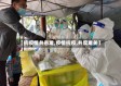 【抗疫情共患难,疫情抗疫,共度难关】