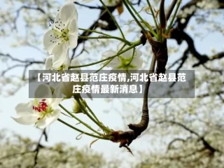 【河北省赵县范庄疫情,河北省赵县范庄疫情最新消息】