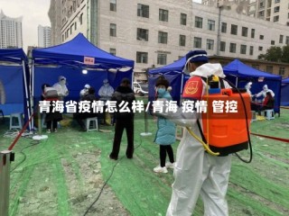 青海省疫情怎么样/青海 疫情 管控