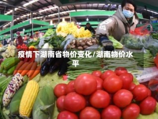 疫情下湖南省物价变化/湖南物价水平