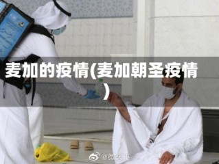 麦加的疫情(麦加朝圣疫情)