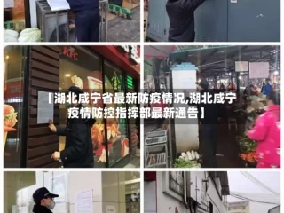 【湖北咸宁省最新防疫情况,湖北咸宁疫情防控指挥部最新通告】