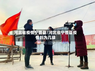 河北省疫情宁晋县/河北省宁晋县疫情划为几级