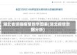 湖北省详细疫情数字图表(湖北疫情数据分析)