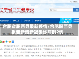 合肥省肥西县最新疫情/合肥肥西县报告新增新冠确诊病例2例