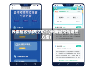 云南省疫情防控文件(云南省疫情防控方案)