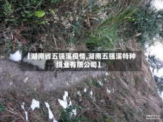 【湖南省五强溪疫情,湖南五强溪特种纸业有限公司】
