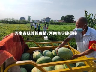 河南省秣陵镇疫情/河南省宁陵县疫情