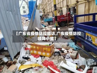 【广东省疫情防控暗访,广东疫情防控领导小组】