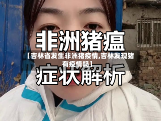 【吉林省发生非洲猪疫情,吉林发现猪有疫情吗】