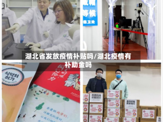湖北省发放疫情补贴吗/湖北疫情有补助金吗