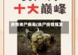 疫情丧尸病毒(丧尸疫情爆发)