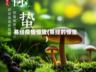 易经疫情惊蛰(易经的惊蛰)
