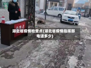 湖北省疫情检查点(湖北省疫情指挥部电话多少)