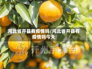 河北省开县有疫情吗/河北省开县有疫情吗今天