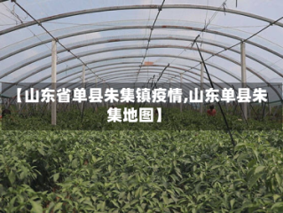 【山东省单县朱集镇疫情,山东单县朱集地图】