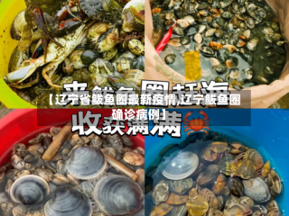 【辽宁省鲅鱼圈最新疫情,辽宁鲅鱼圈确诊病例】