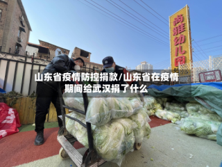 山东省疫情防控捐款/山东省在疫情期间给武汉捐了什么