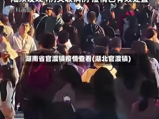 湖南省官渡镇疫情查看(湖北官渡镇)
