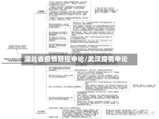 湖北省疫情防控申论/武汉疫情申论